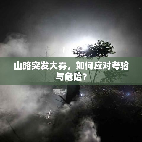 山路突发大雾，如何应对考验与危险？