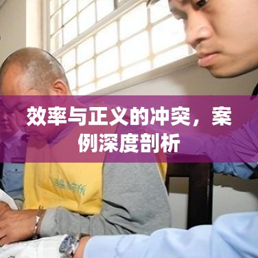 效率与正义的冲突，案例深度剖析
