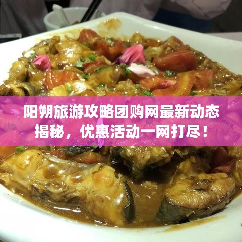 阳朔旅游攻略团购网最新动态揭秘，优惠活动一网打尽！