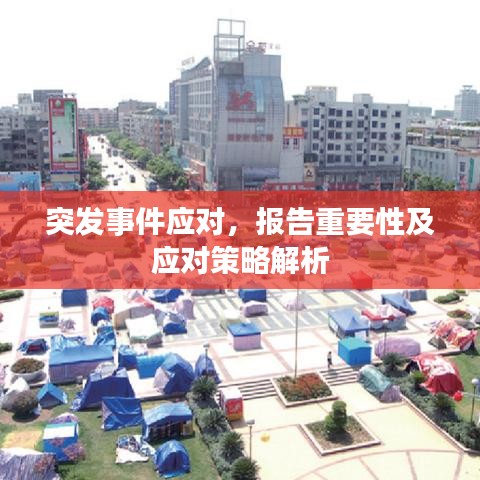 富贵骄人