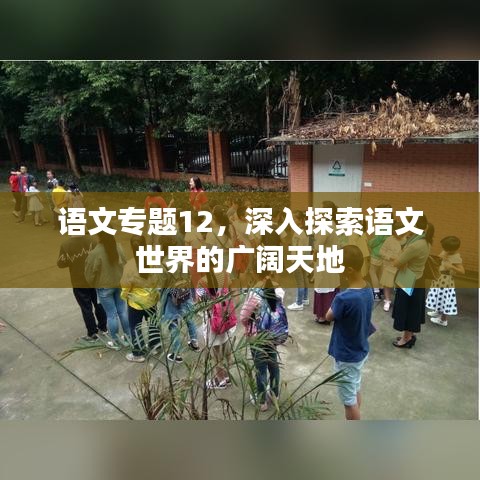 语文专题12，深入探索语文世界的广阔天地