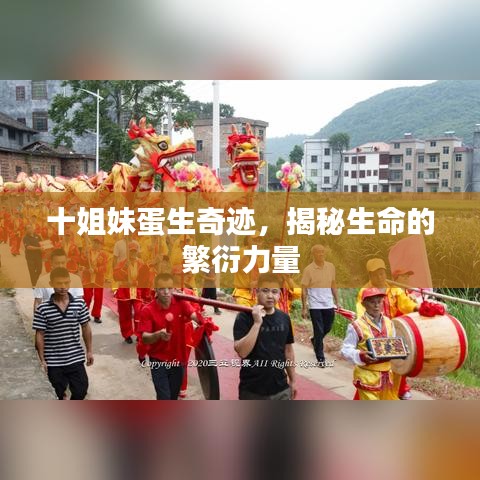 十姐妹蛋生奇迹，揭秘生命的繁衍力量