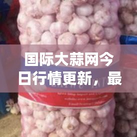 联系我们 第7页