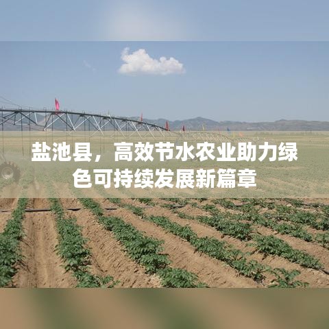 盐池县，高效节水农业助力绿色可持续发展新篇章