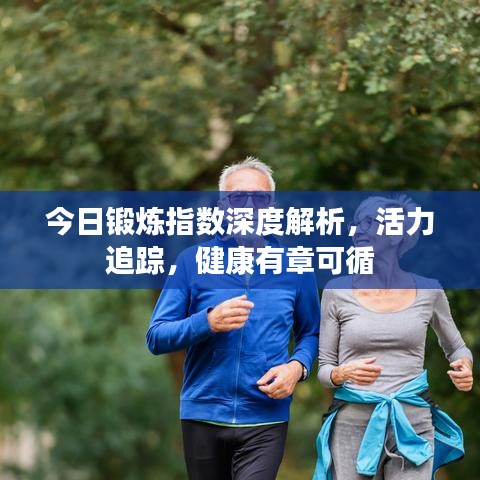 今日锻炼指数深度解析，活力追踪，健康有章可循