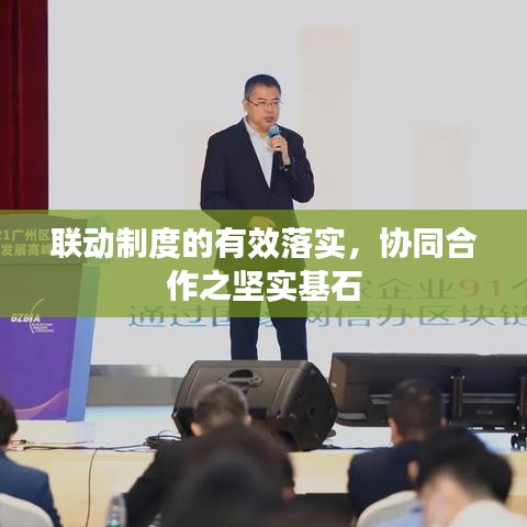 联动制度的有效落实，协同合作之坚实基石