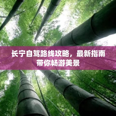 长宁自驾路线攻略，最新指南带你畅游美景