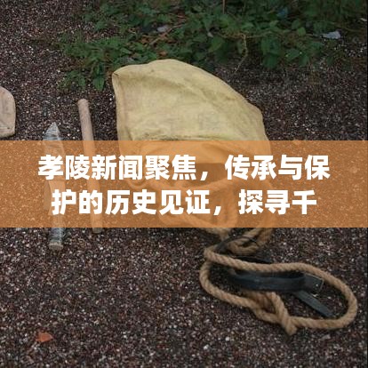 孝陵新闻聚焦，传承与保护的历史见证，探寻千年文化脉络