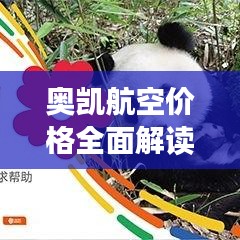 奥凯航空价格全面解读，最新消息与低价策略探讨