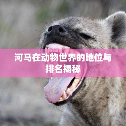 河马在动物世界的地位与排名揭秘