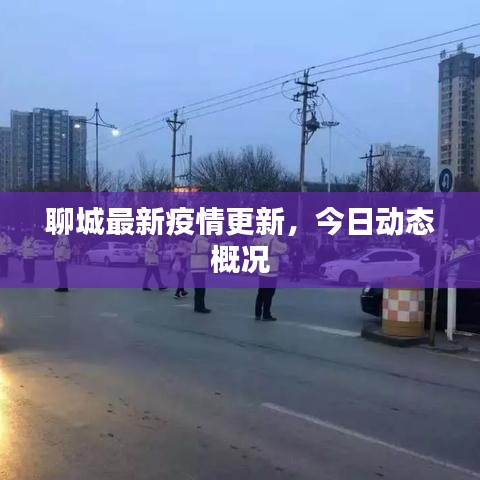 聊城最新疫情更新，今日动态概况