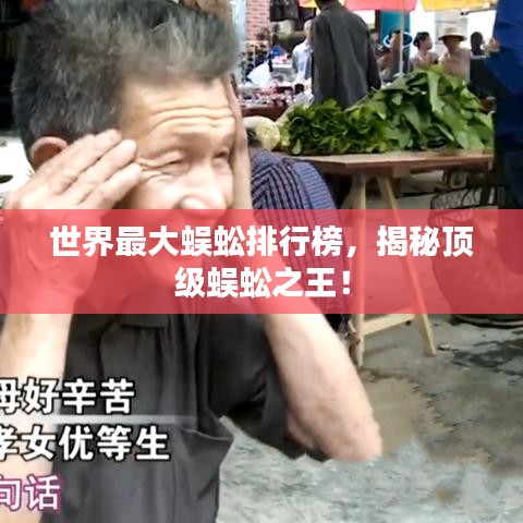 世界最大蜈蚣排行榜，揭秘顶级蜈蚣之王！