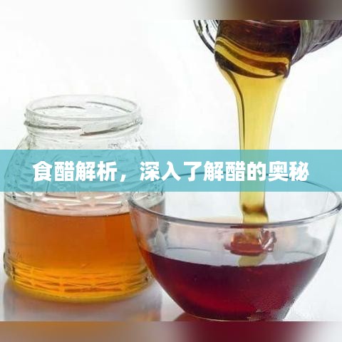 食醋解析，深入了解醋的奥秘