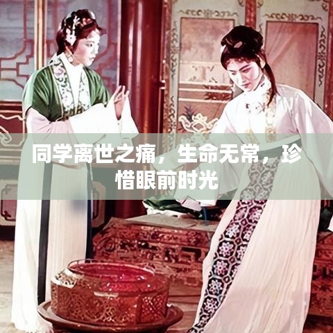 同学离世之痛，生命无常，珍惜眼前时光