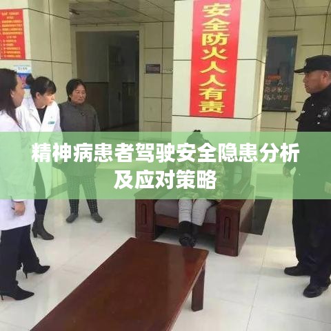精神病患者驾驶安全隐患分析及应对策略