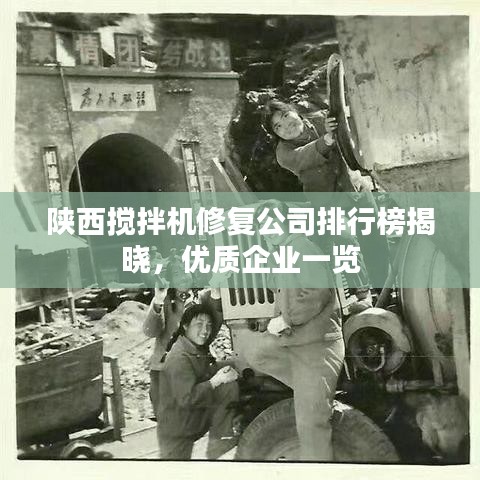 陕西搅拌机修复公司排行榜揭晓，优质企业一览