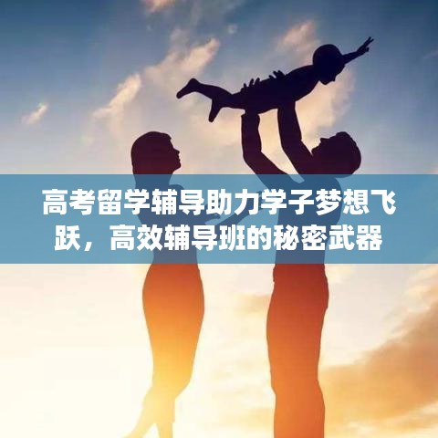 高考留学辅导助力学子梦想飞跃，高效辅导班的秘密武器