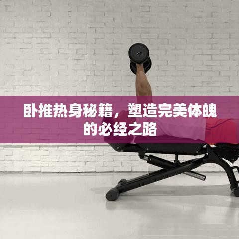 卧推热身秘籍，塑造完美体魄的必经之路