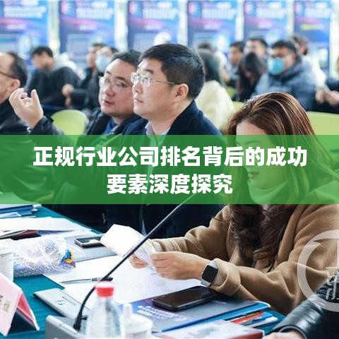 正规行业公司排名背后的成功要素深度探究