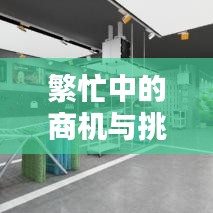 繁忙中的商机与挑战，客源不断，机遇无限