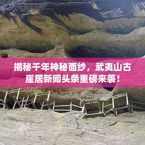 龙马精神