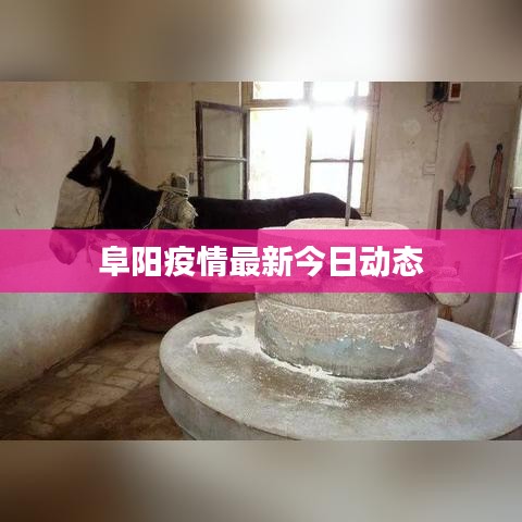 老死不相往来