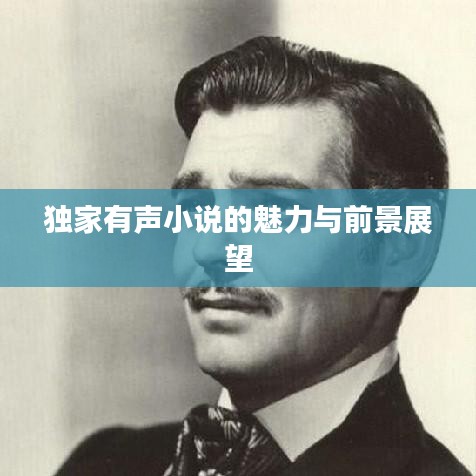 独家有声小说的魅力与前景展望