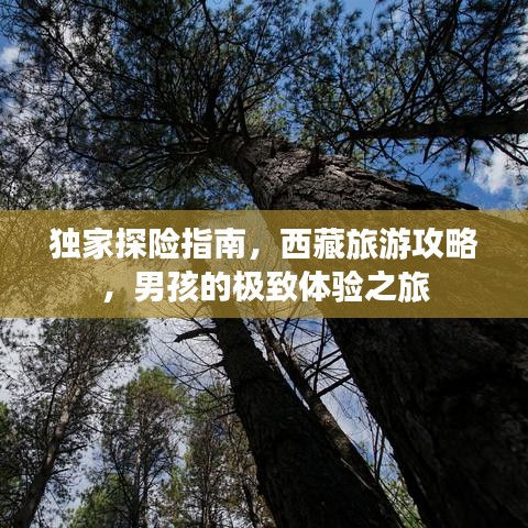 独家探险指南，西藏旅游攻略，男孩的极致体验之旅