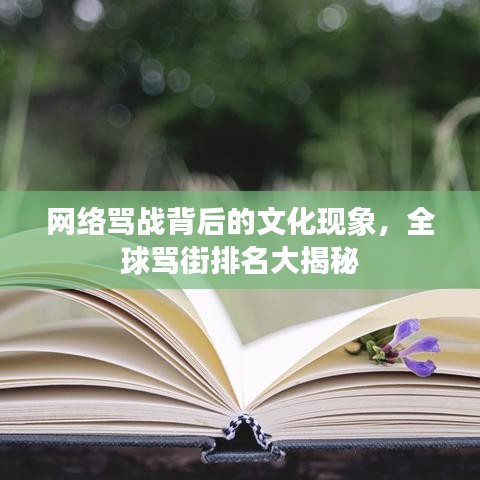 网络骂战背后的文化现象，全球骂街排名大揭秘