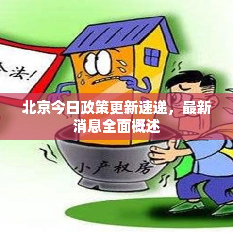 北京今日政策更新速递，最新消息全面概述