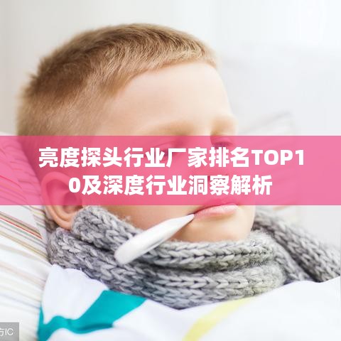 亮度探头行业厂家排名TOP10及深度行业洞察解析