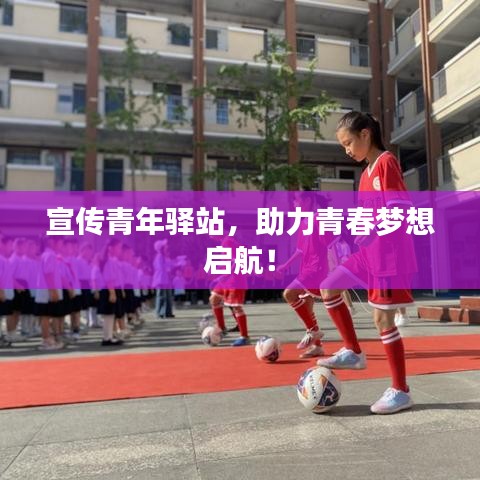 惊弓之鸟