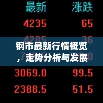 钢市最新行情概览，走势分析与发展展望