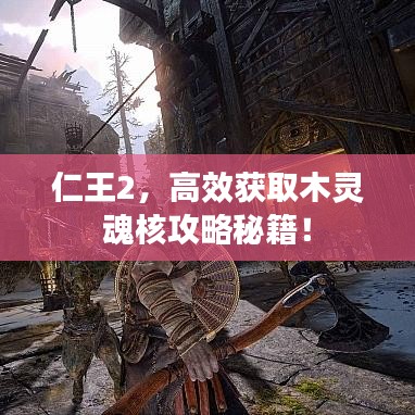 仁王2，高效获取木灵魂核攻略秘籍！