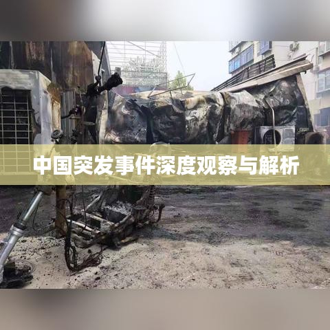 中国突发事件深度观察与解析