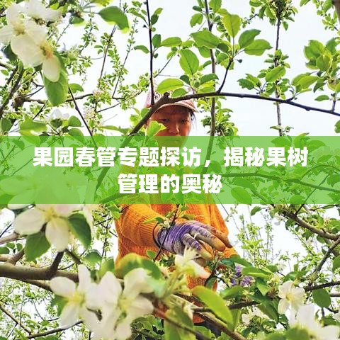 果园春管专题探访，揭秘果树管理的奥秘