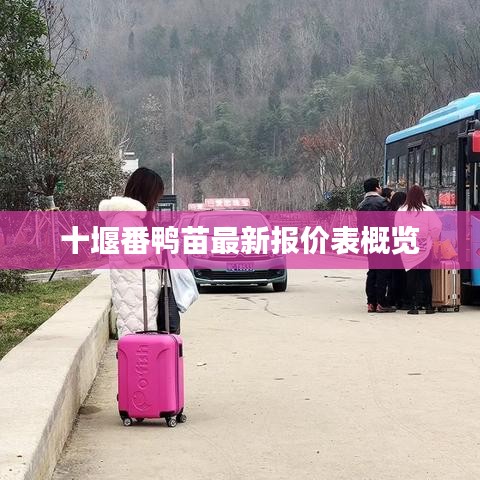 张惶失措