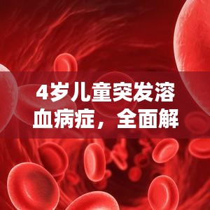 4岁儿童突发溶血病症，全面解析症状、预防与治疗措施