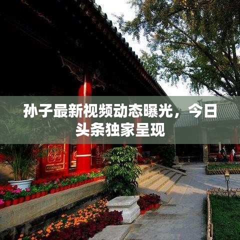 孙子最新视频动态曝光，今日头条独家呈现