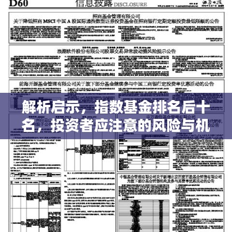 解析启示，指数基金排名后十名，投资者应注意的风险与机遇！