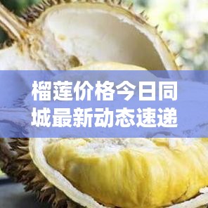 榴莲价格今日同城最新动态速递