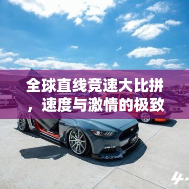 打张鸡儿