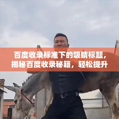 百度收录标准下的吸睛标题，揭秘百度收录秘籍，轻松提升文章曝光率！