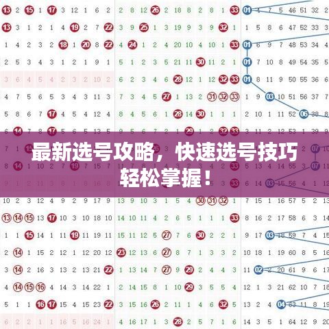 最新选号攻略，快速选号技巧轻松掌握！