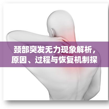 高人雅士