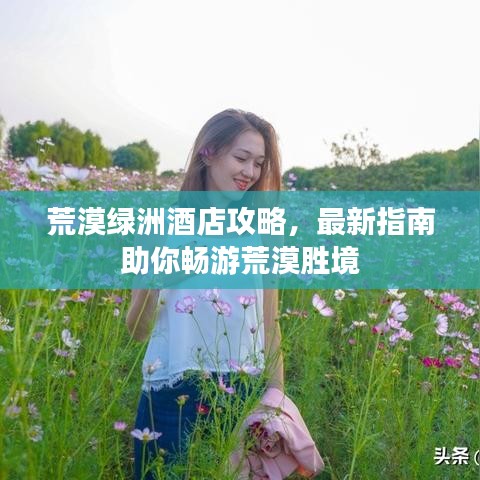 荒漠绿洲酒店攻略，最新指南助你畅游荒漠胜境