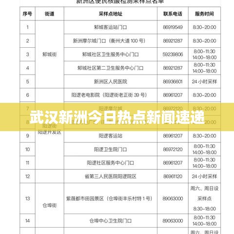 武汉新洲今日热点新闻速递