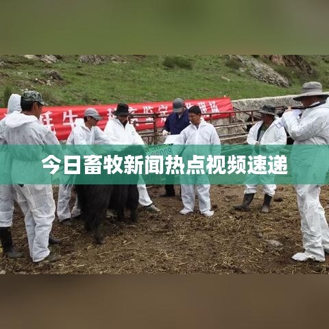 手不释卷