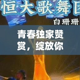飞龙在天
