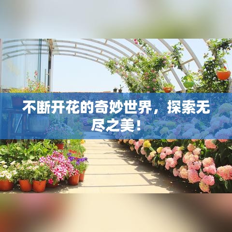 不断开花的奇妙世界，探索无尽之美！